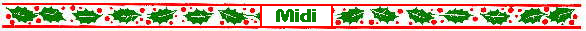 Midi